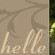 Guesthouse LaRachelle