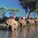 Hwange Safari Lodge