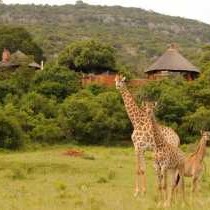Venda Village Lodge