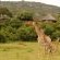 Venda Village Lodge