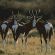 Bushmans Kloof Wilderness Reserve