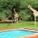 Windhoek Game Camp