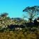 Bushmans Kloof Wilderness Reserve