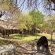 Skukuza Restcamp - Kruger Park