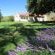 Fairbairn Guest Farm