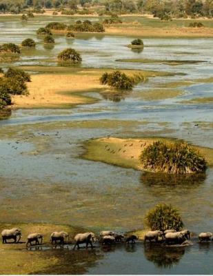 Travel Guide to Botswana