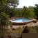 Pool at Thanda and Thulile
