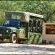 Kruger Safaris
