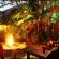The Boma
