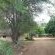 lodge garden 