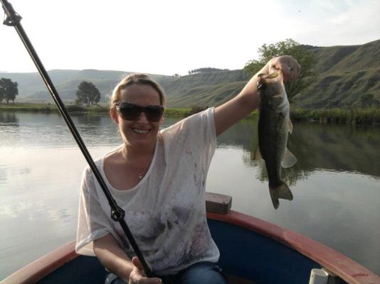 Fishing for Bass
