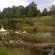 View from dam over property