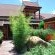 Villa Tuscana Guest House