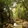 Hiking Trail