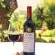 Shiraz 2006
