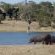Chitwa Chitwa Private Game Lodges