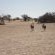 Kgalagadi Transfrontier Park