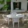Family / Pet Friendly Unit Courtyard