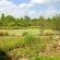 Klip River Country Estate