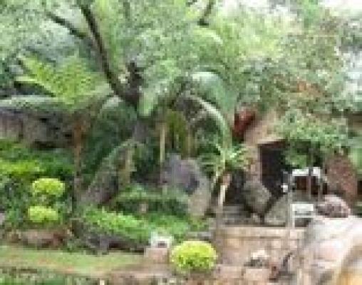Natural Gardens