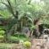 Natural Gardens