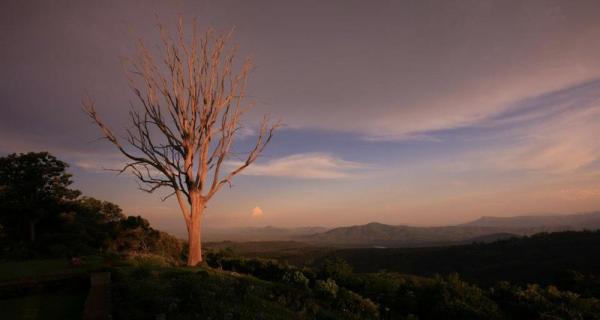 Kings Walden at Sunset