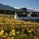 Lodges