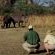 Viewing White rhino on foot