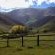 Pat Busch Mountain Reserve