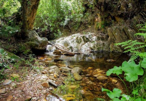 Streams & Pools on hiking trails at Pat Busch