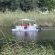 Canoeing