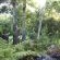 Andelomi Forest Lodge