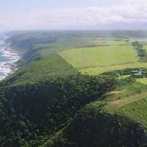 View of the estate looking west