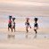 Life on the beach