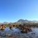 The Tidal Rock Pools