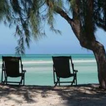 Beach Chairs