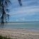 The beach