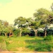 View of Shindzela