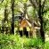 shindzela camp