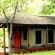 safari tent