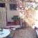 arum cottage front side