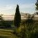 The view