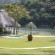 N'taba River Lodge