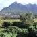 Chapman's Peak