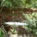 The Bush bath