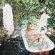 Milkbath under the trees