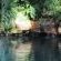 The Rock Pool.