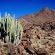 Ai-Ais Richtersveld National Park