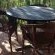 Buffalo Drift - Tented Camp