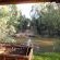 view from  your tent